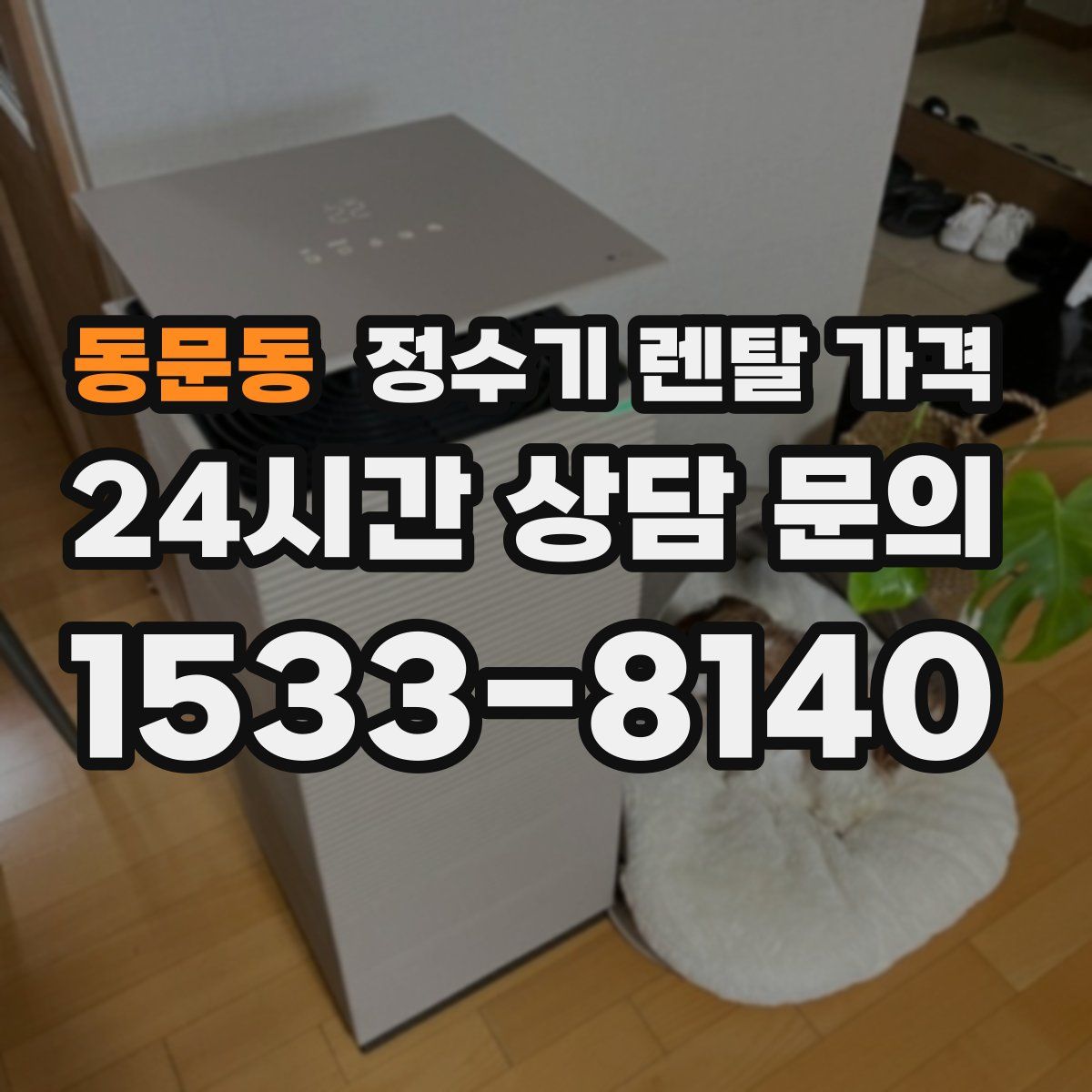 동문동 정수기 렌탈 가격