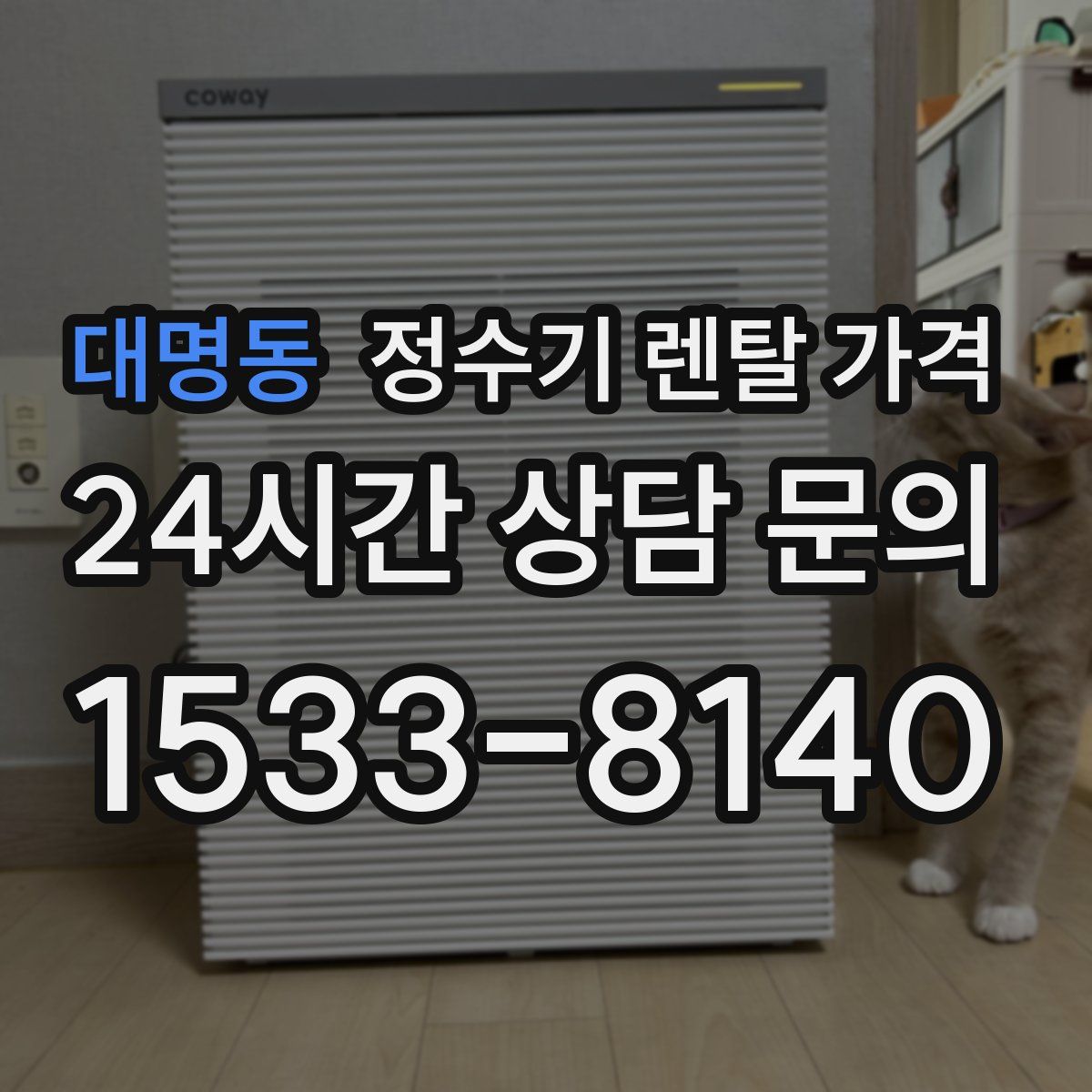 대명동 정수기 렌탈 가격