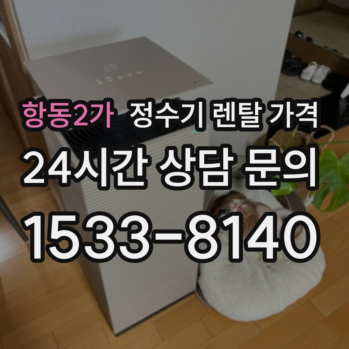 항동2가 정수기 렌탈 가격