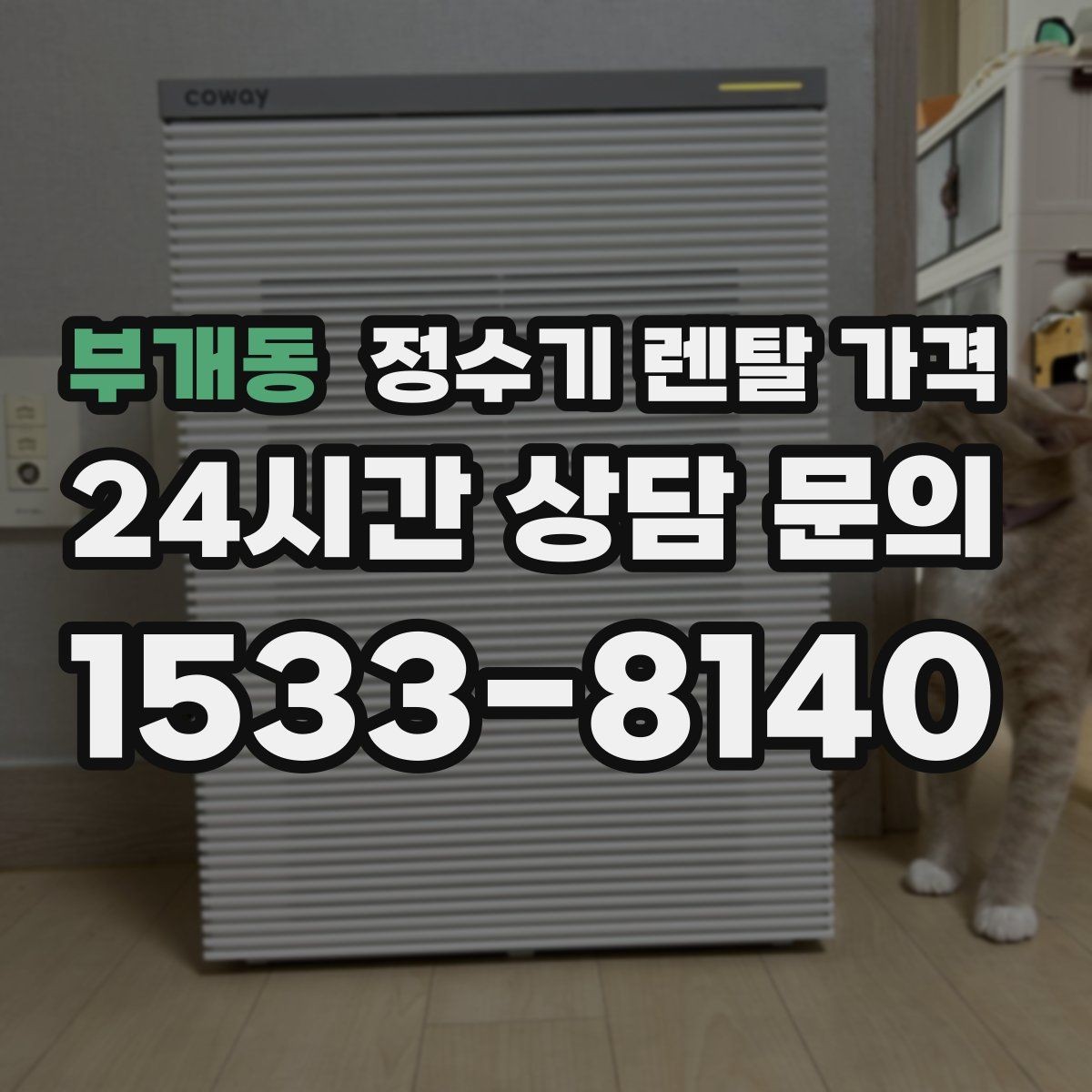 부개동 정수기 렌탈 가격 후기 볼 때 체크하면 좋은 포인트