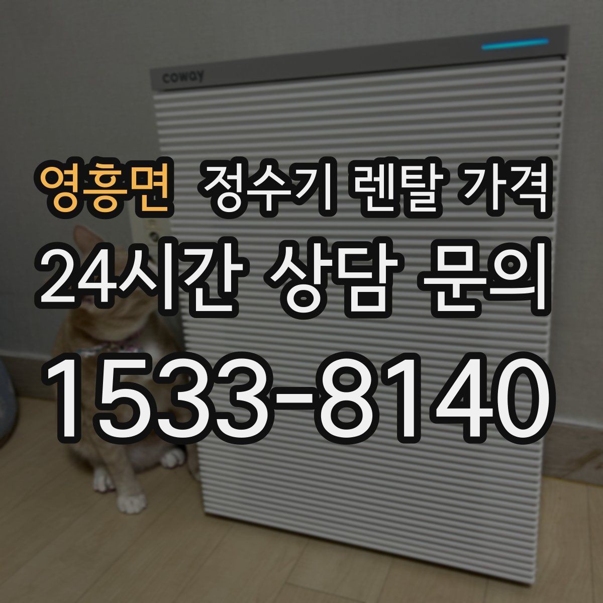 영흥면 정수기 렌탈 가격 방문관리형과 셀프관리형 비교 정리
