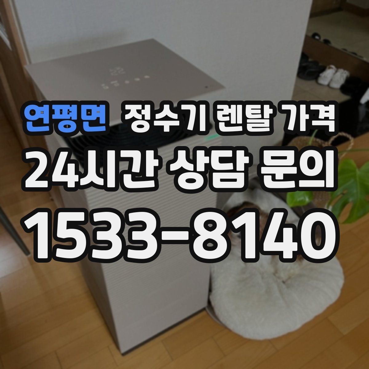 연평면 정수기 렌탈 가격 합리적인 선택을 위한 가이드