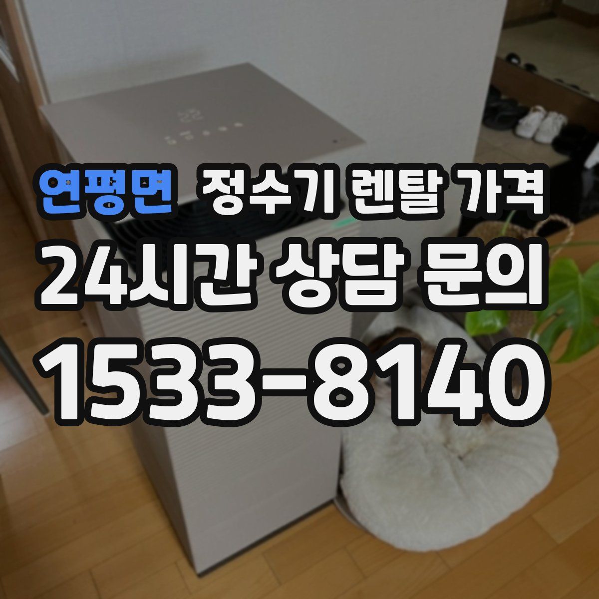 연평면 정수기 렌탈 가격
