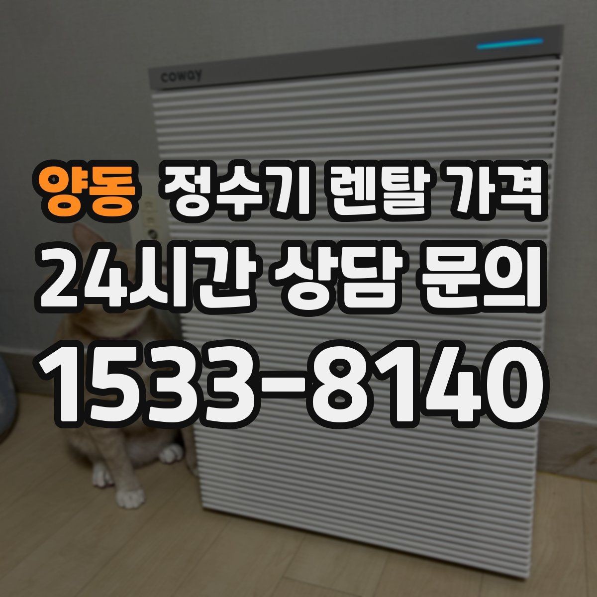 양동 정수기 렌탈 가격 지금 쓰는 제품을 바꿔야 할 신호