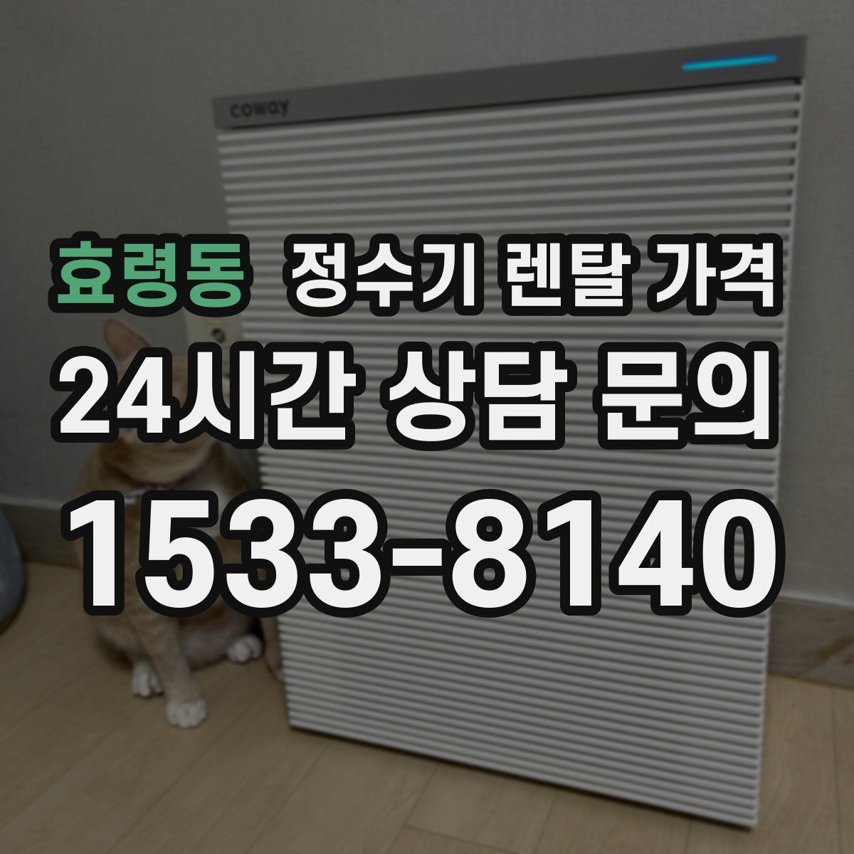 효령동 정수기 렌탈 가격