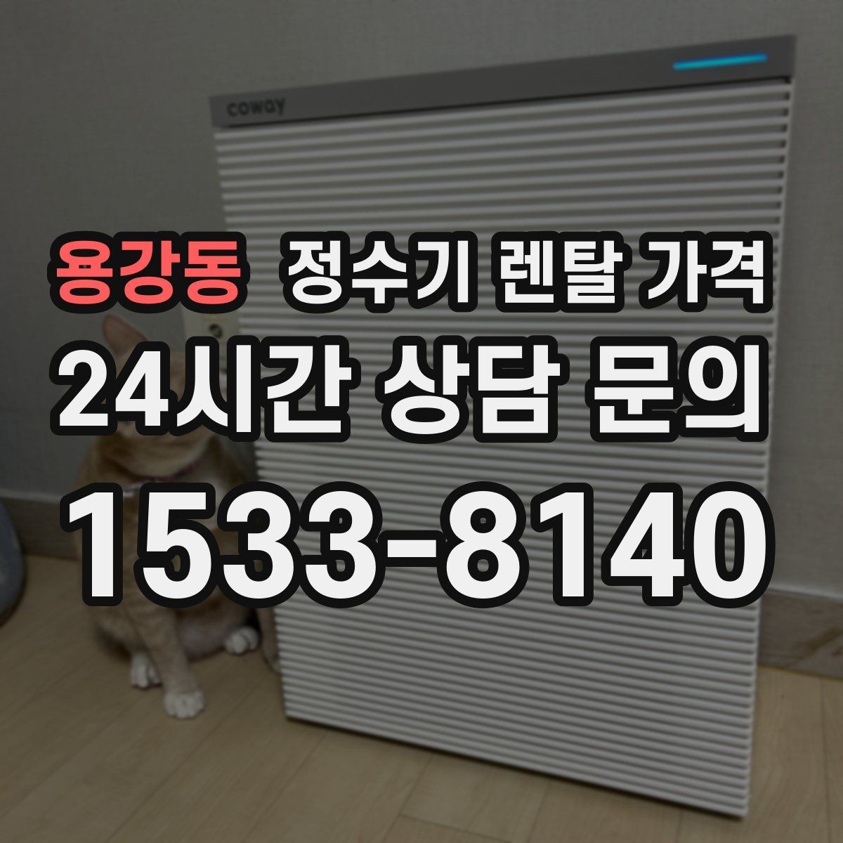 용강동 정수기 렌탈 가격 장기 이용 시 총비용 계산하는 법