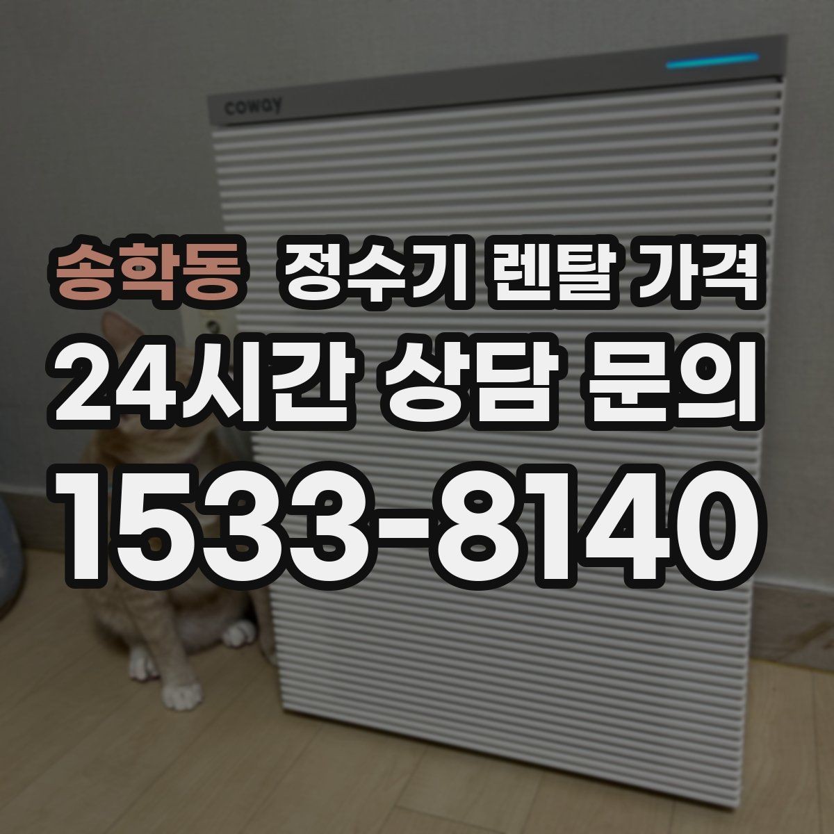 송학동 정수기 렌탈 가격 실제 사용자 기준으로 정리해보기