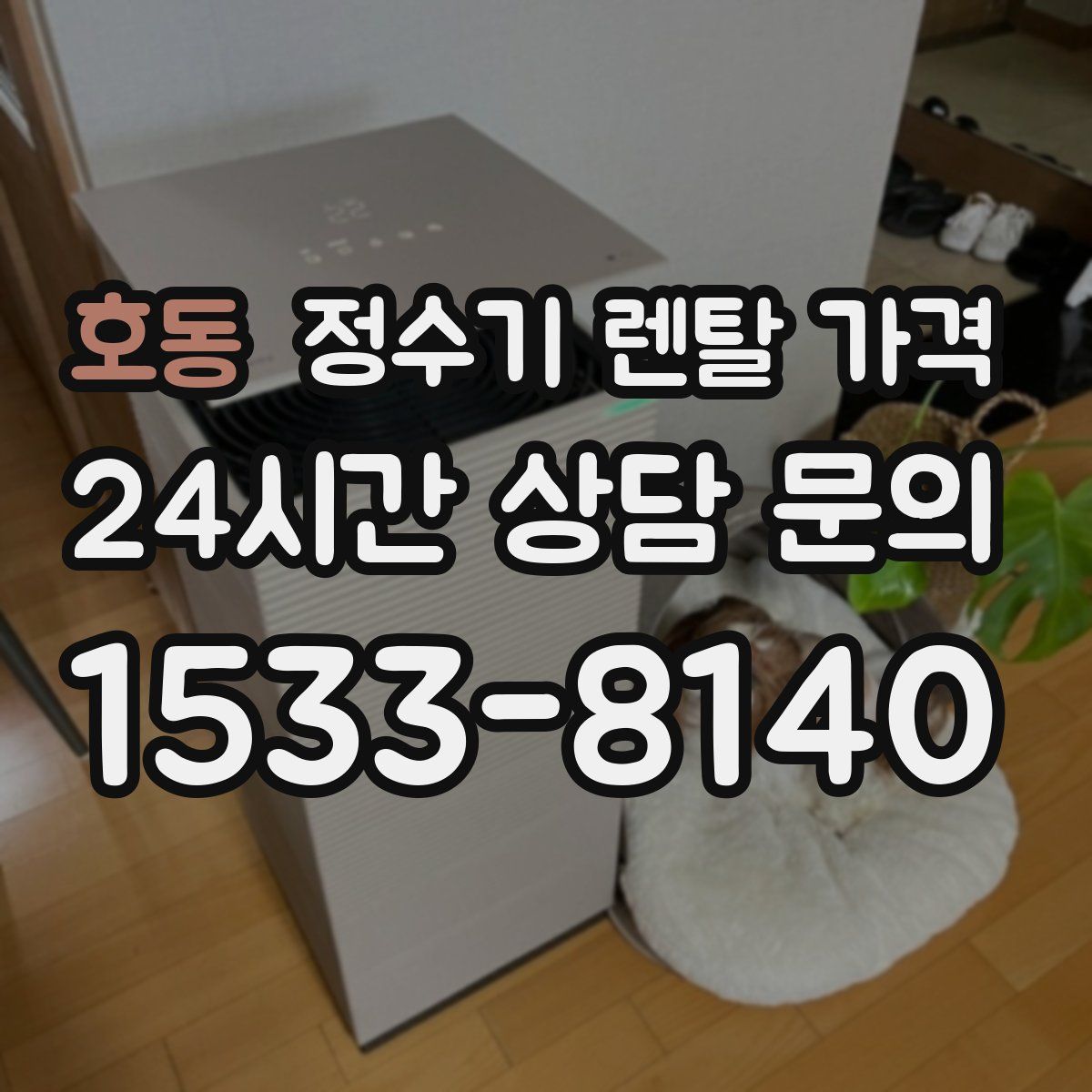 호동 정수기 렌탈 가격