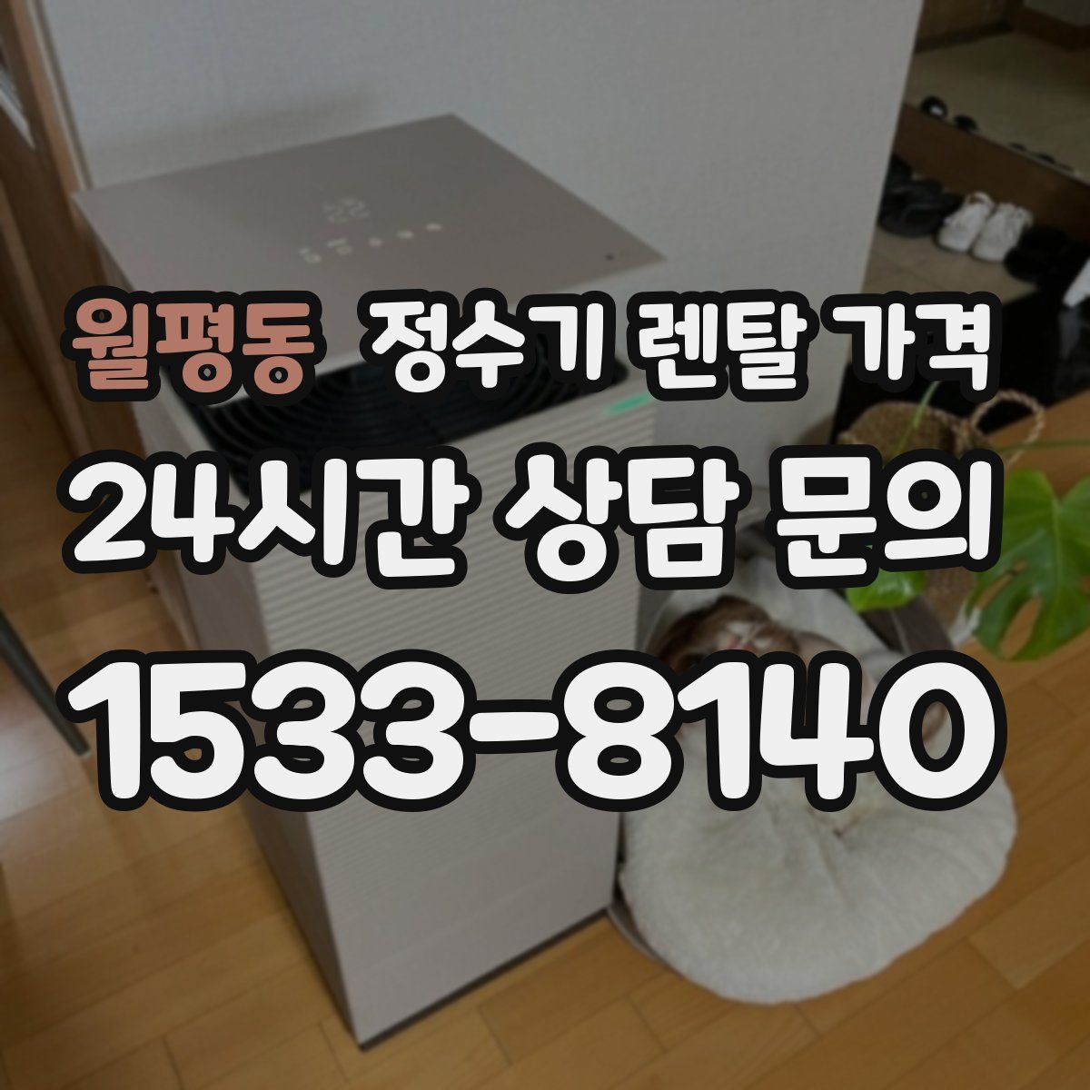 월평동 정수기 렌탈 가격