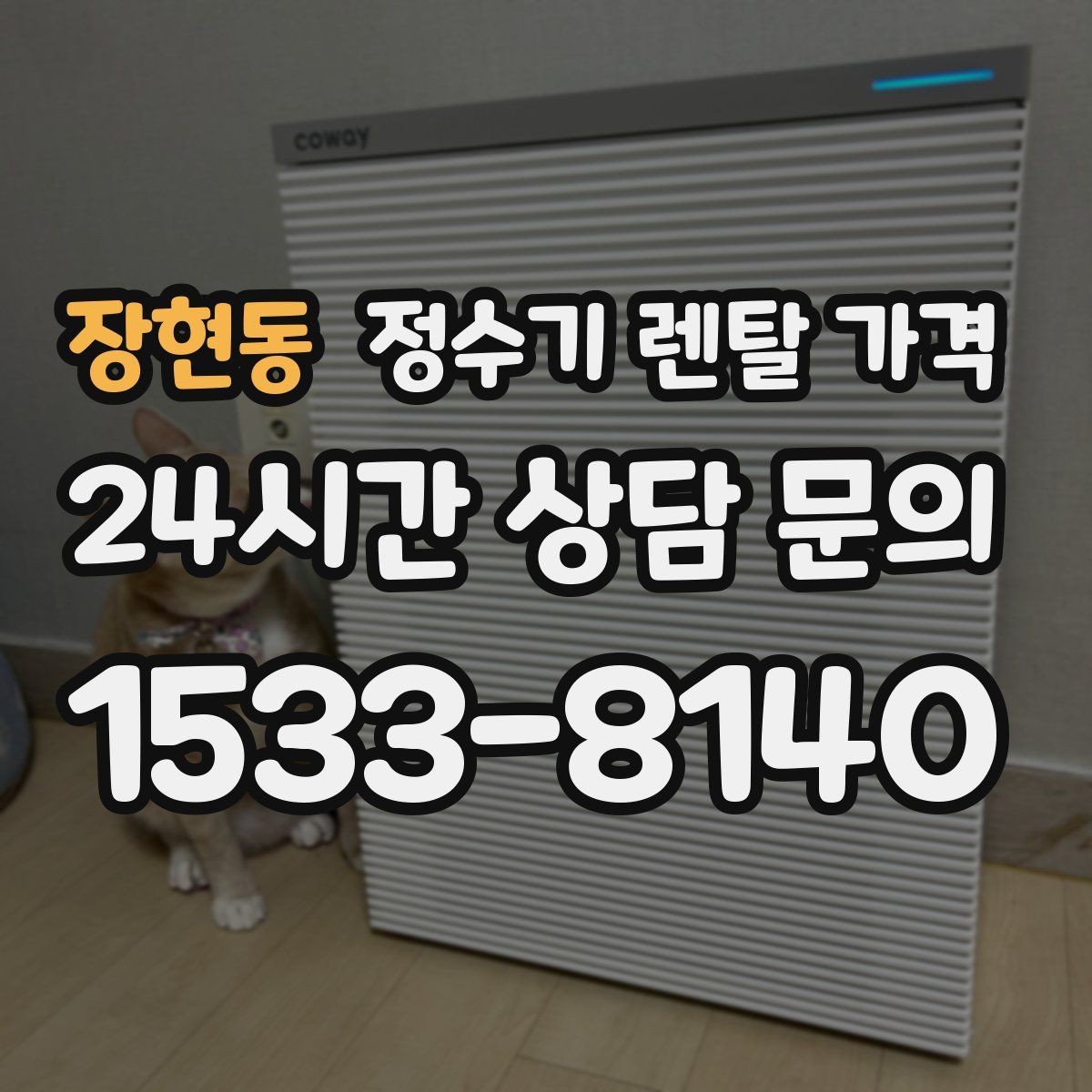 장현동 정수기 렌탈 가격 렌탈 종료 후 선택지 정리
