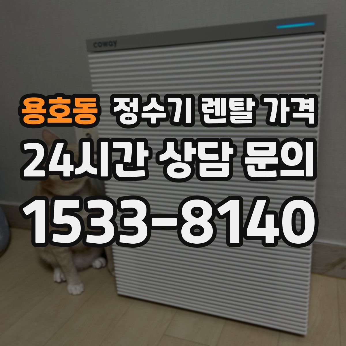 용호동 정수기 렌탈 가격