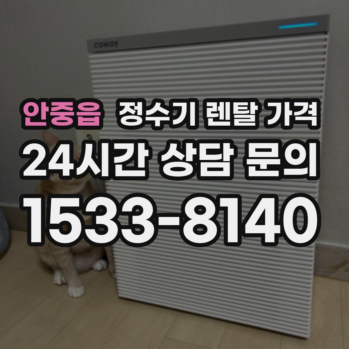 안중읍 정수기 렌탈 가격