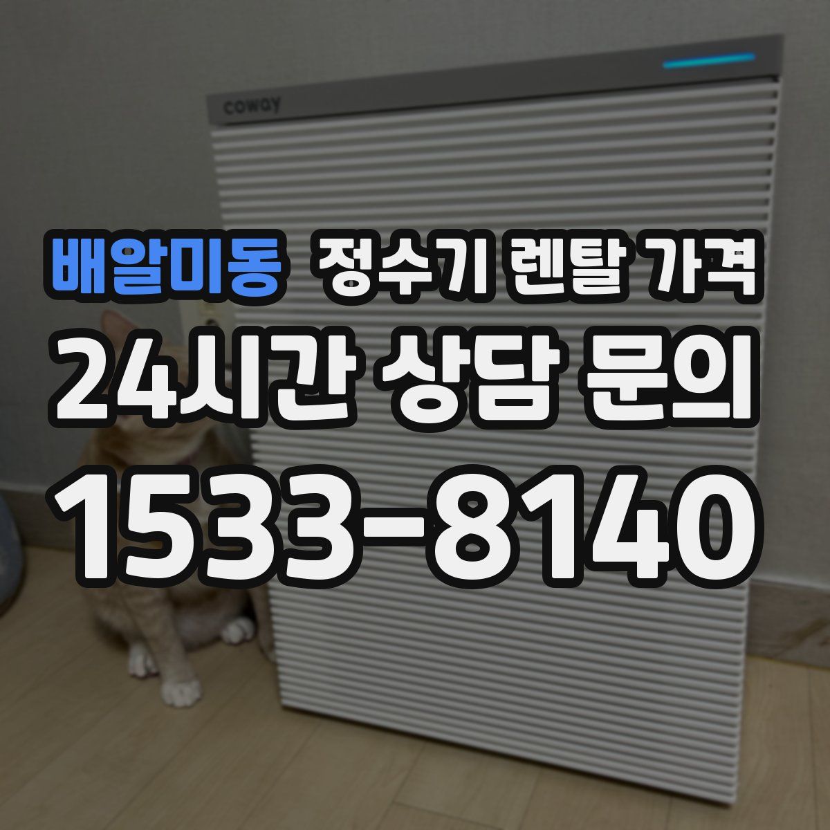 배알미동 정수기 렌탈 가격