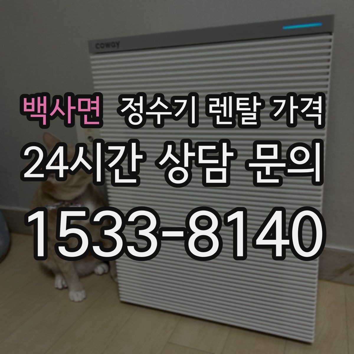 백사면 정수기 렌탈 가격 브랜드보다 먼저 봐야 할 기준