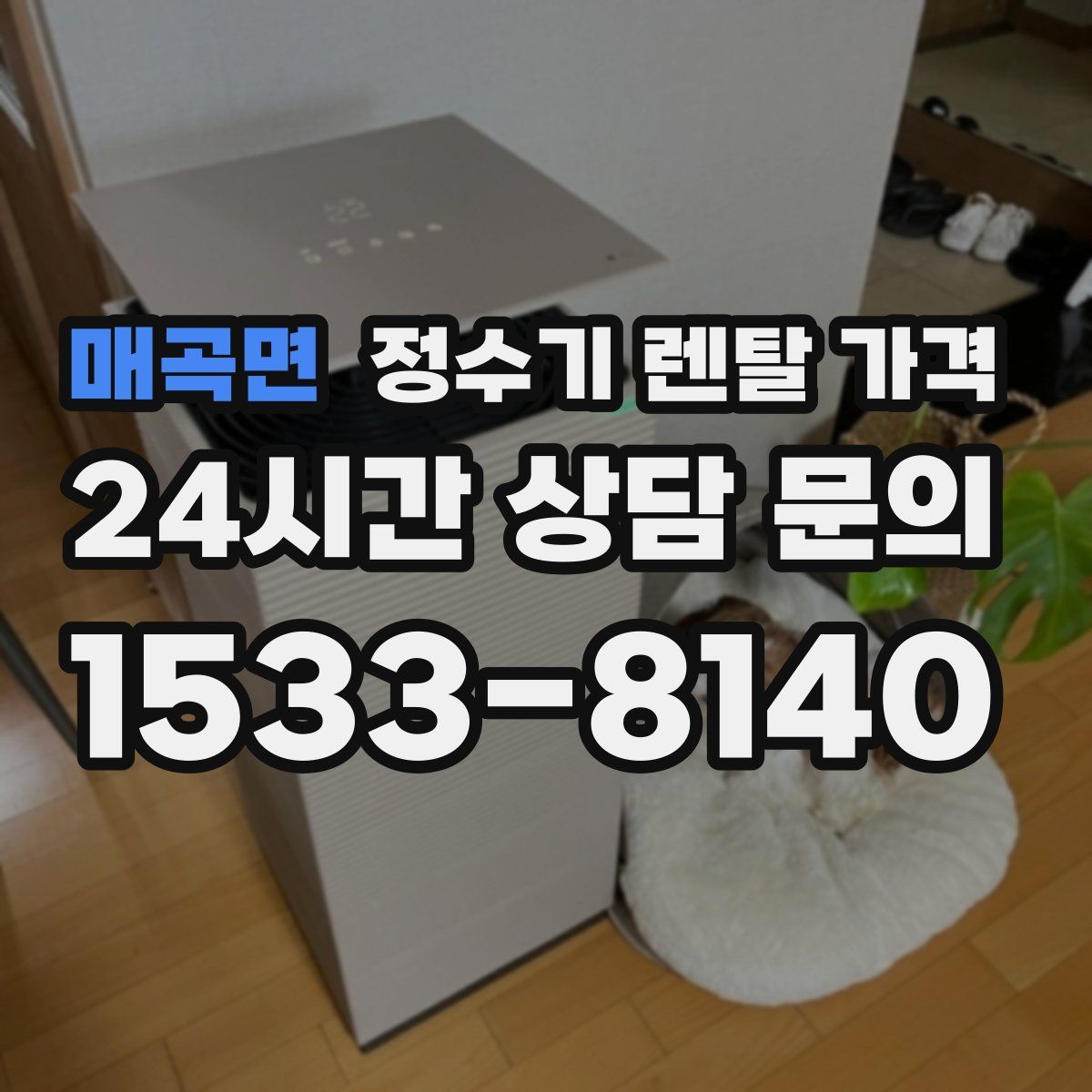 매곡면 정수기 렌탈 가격