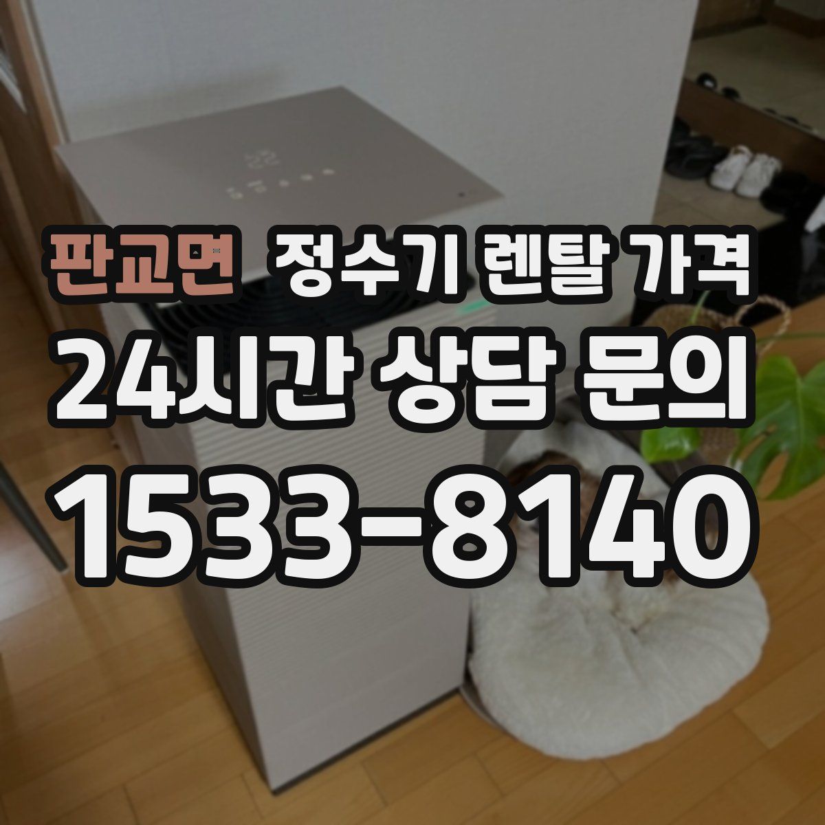 판교면 정수기 렌탈 가격