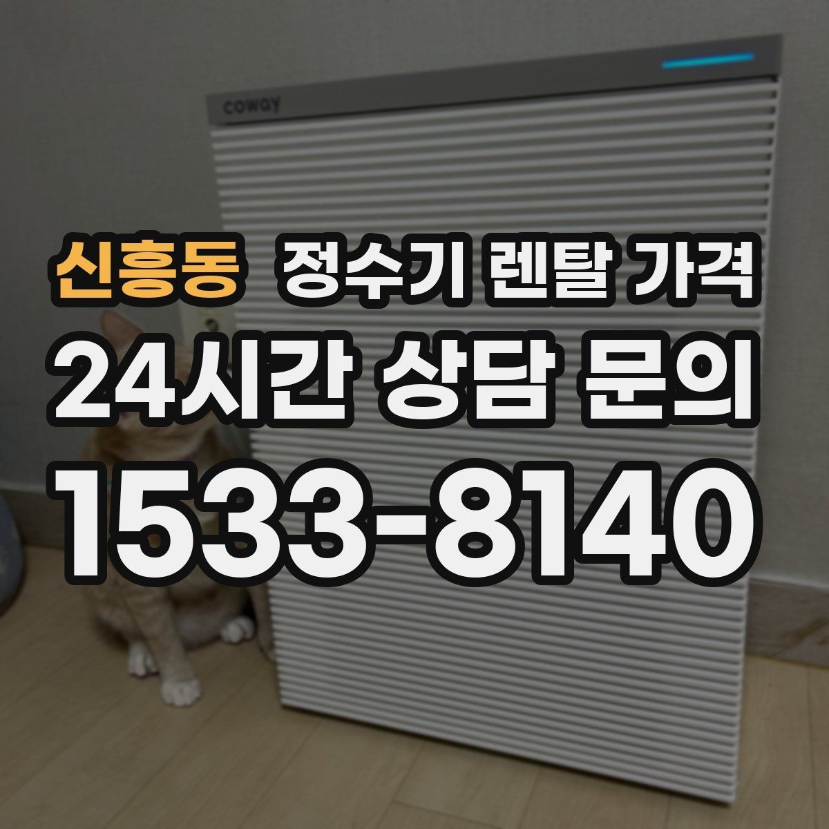 신흥동 정수기 렌탈 가격 실속형 제품 고를 때 기준 정리