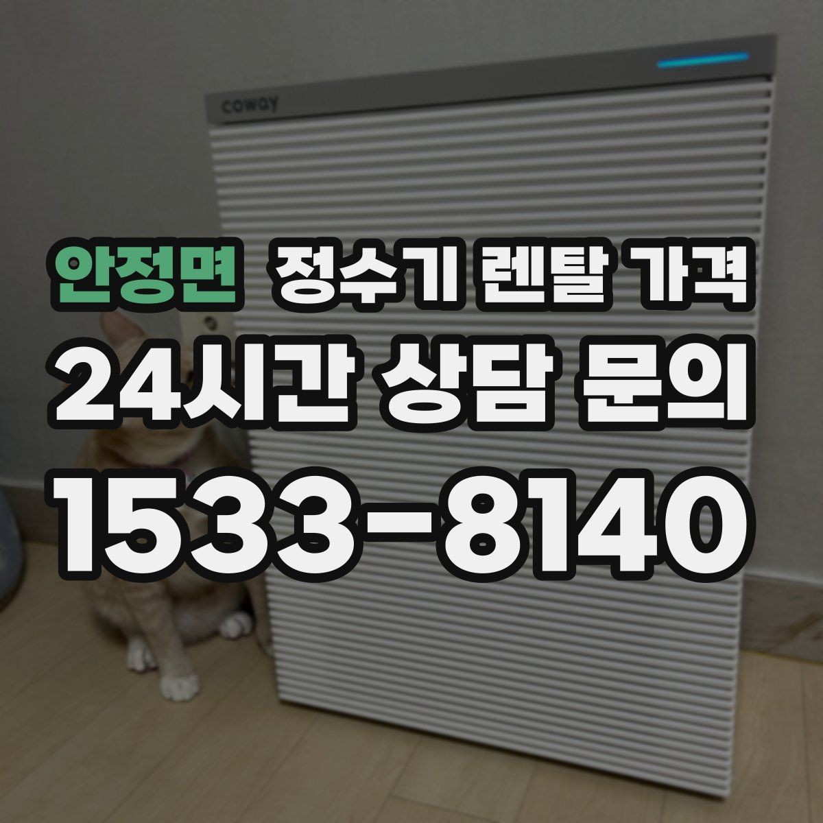 안정면 정수기 렌탈 가격 실속 있게 고르는 핵심 포인트