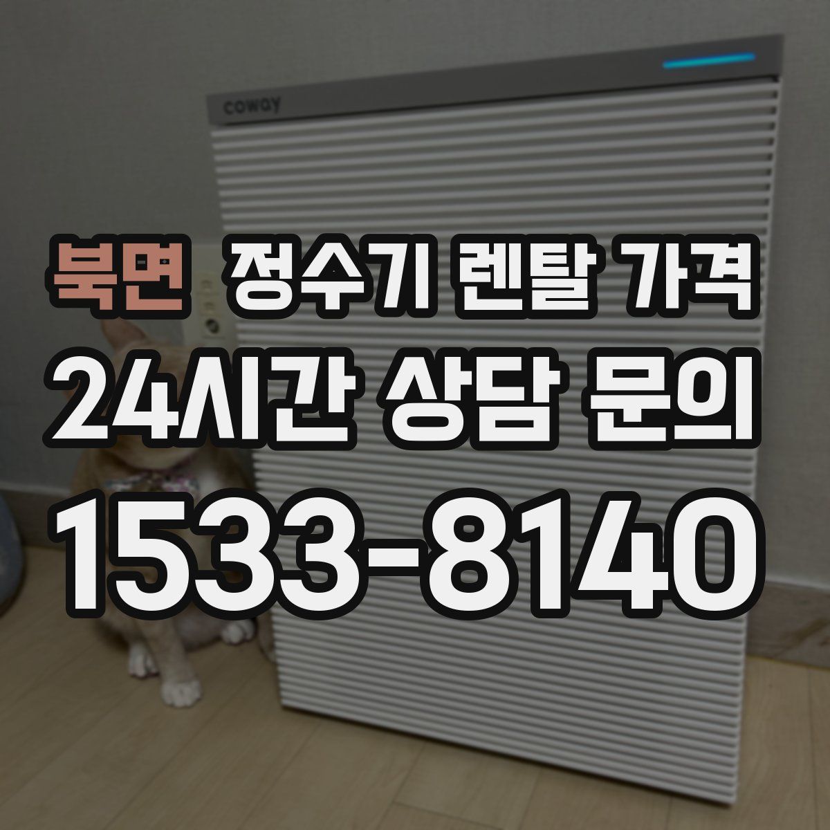 북면 정수기 렌탈 가격