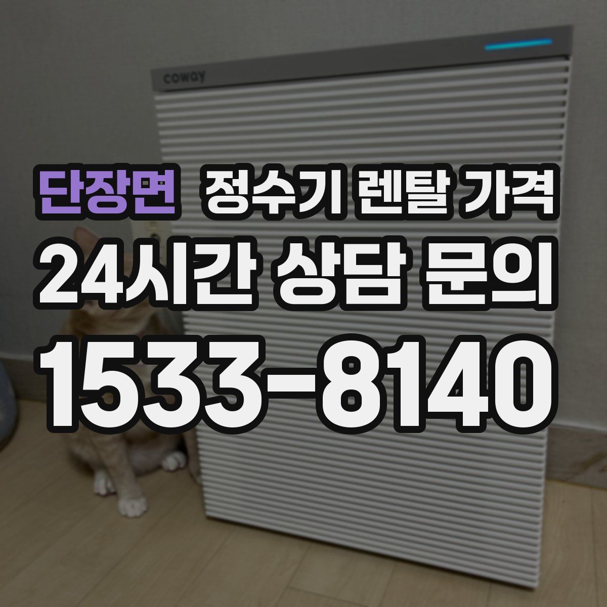 단장면 정수기 렌탈 가격