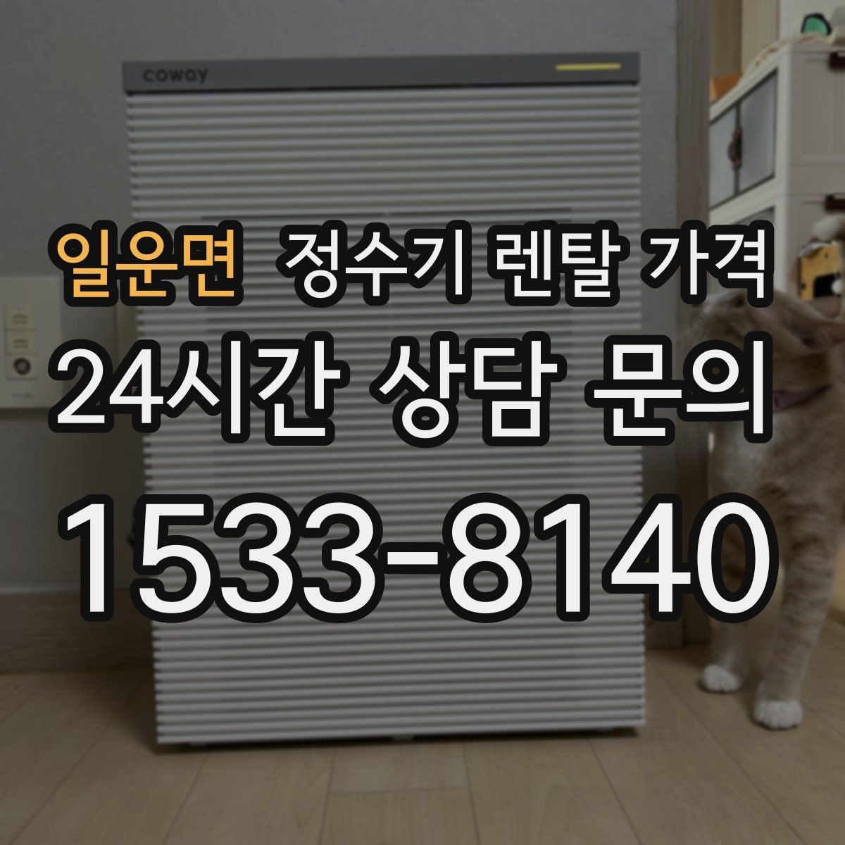 일운면 정수기 렌탈 가격 복잡한 조건을 쉽게 이해하는 방법