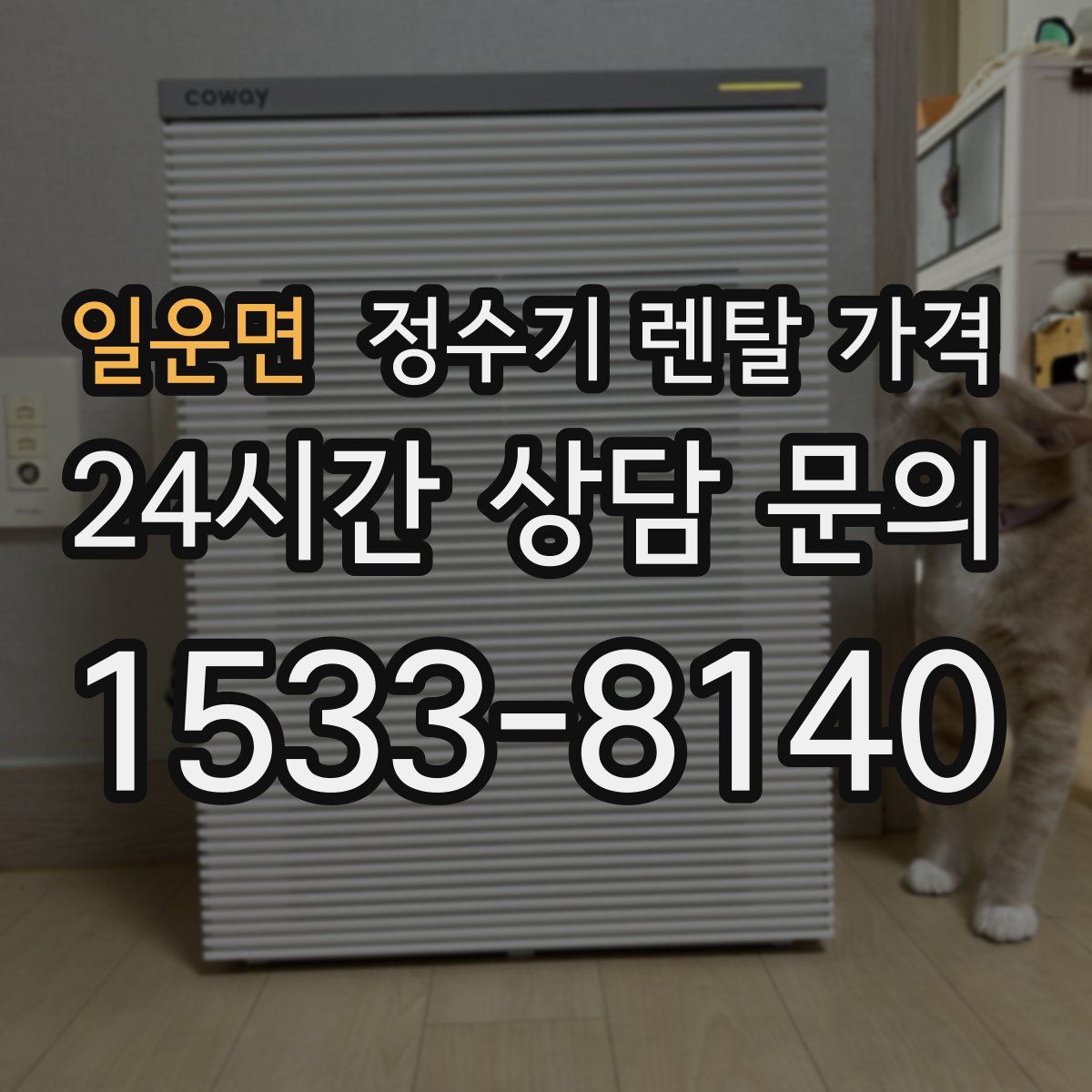 일운면 정수기 렌탈 가격