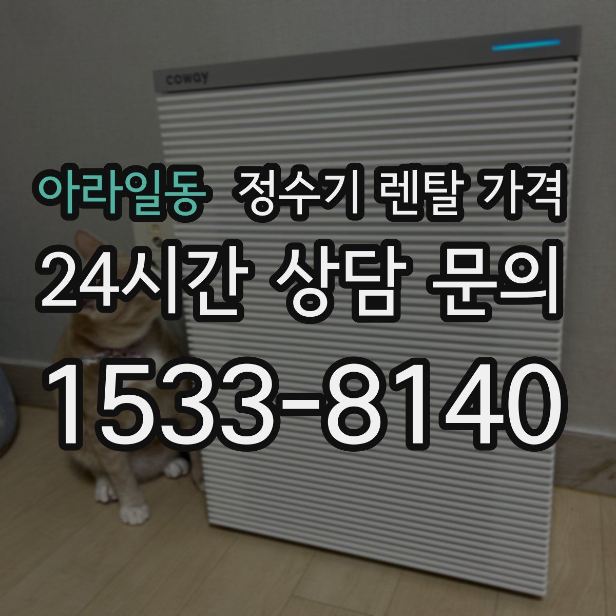 아라일동 정수기 렌탈 가격