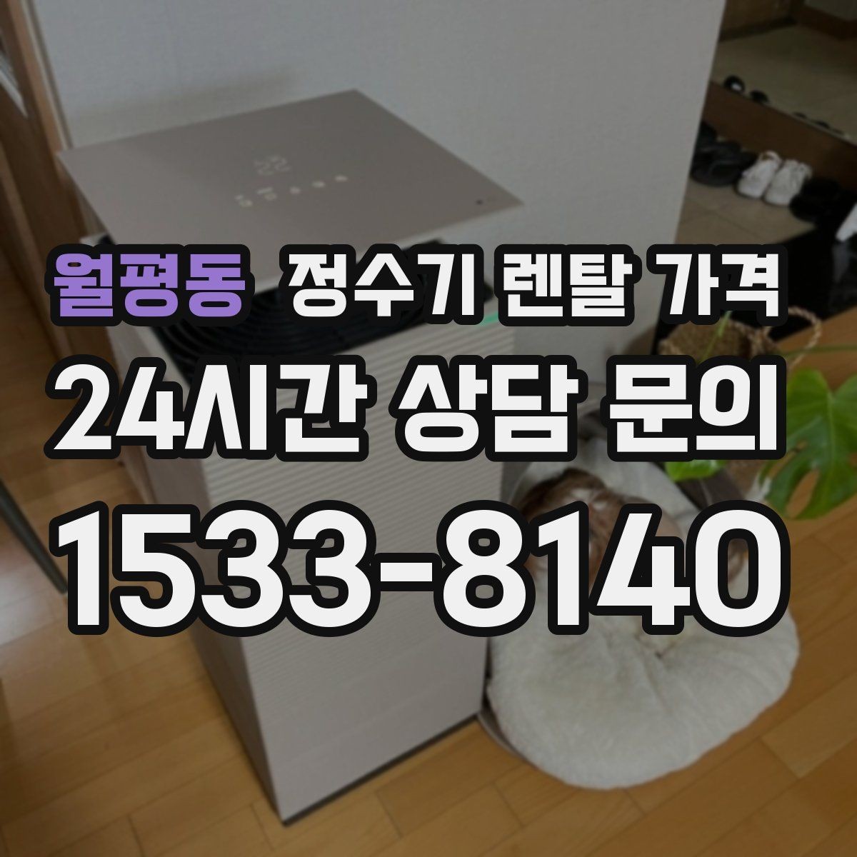 월평동 정수기 렌탈 가격 현실적인 선택을 위한 체크포인트