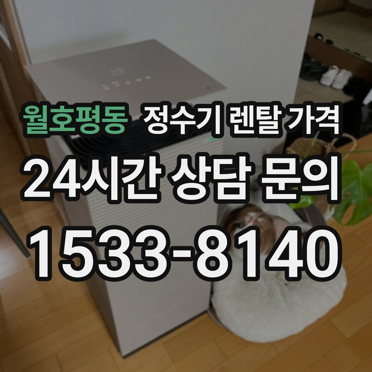 월호평동 정수기 렌탈 가격 렌탈료가 싼 제품의 공통점 정리