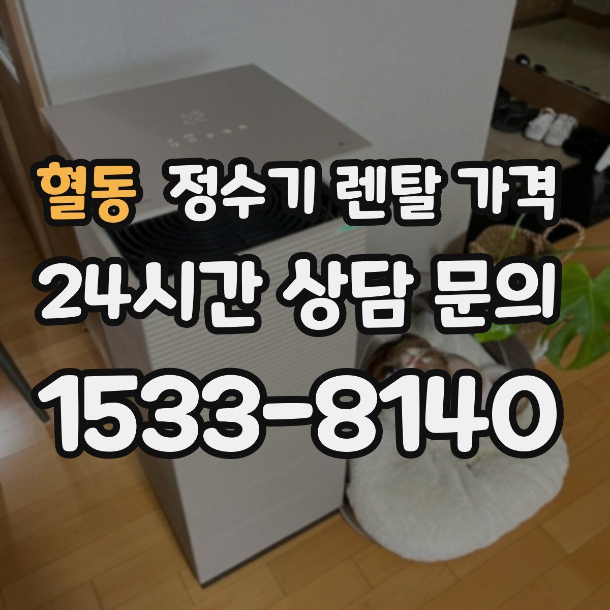 혈동 정수기 렌탈 가격