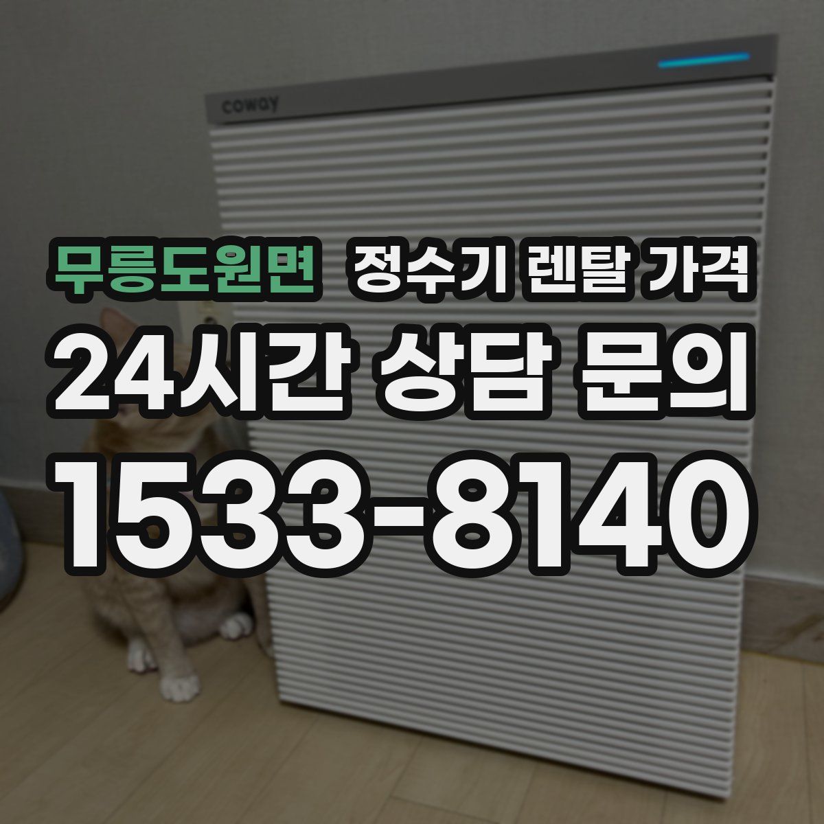 무릉도원면 정수기 렌탈 가격