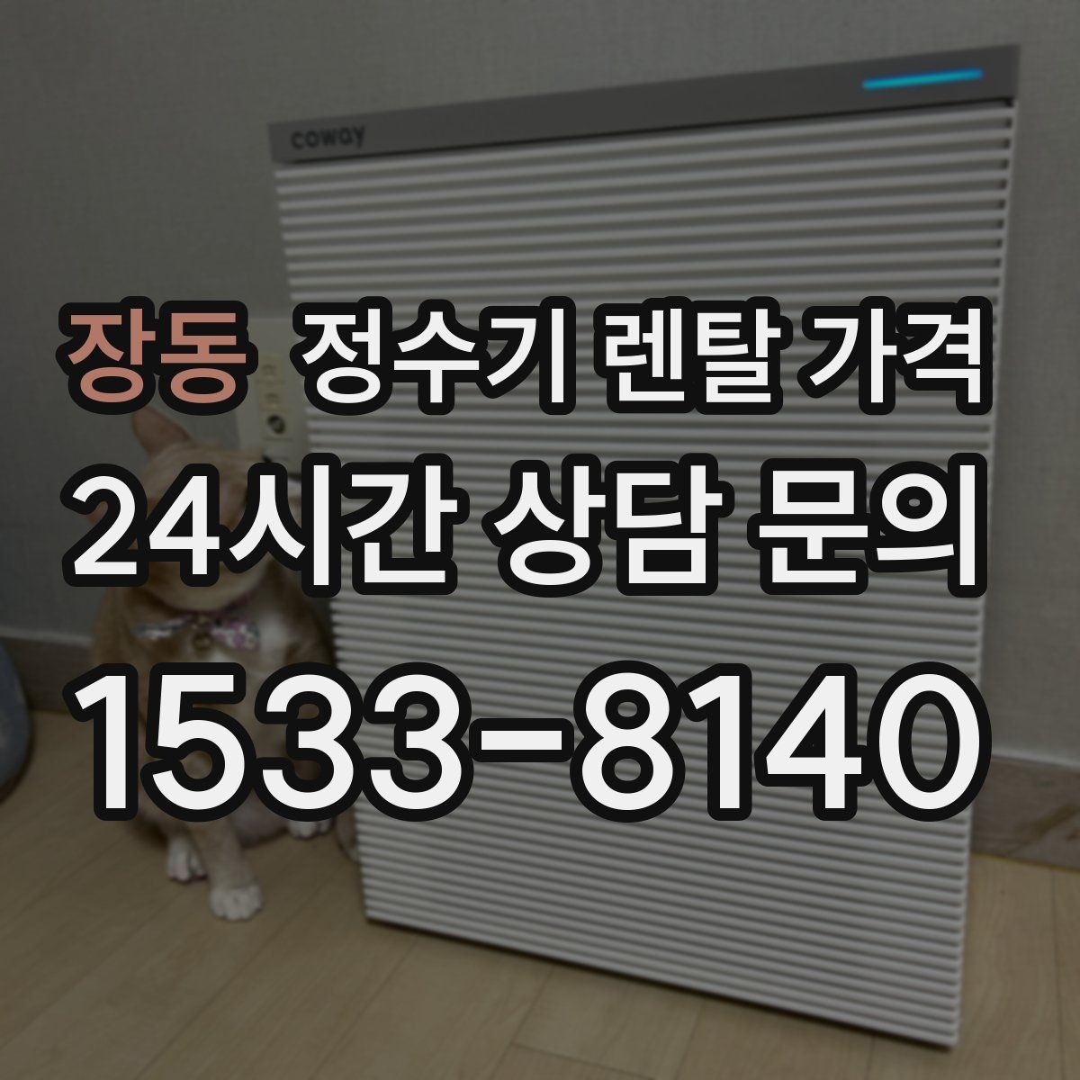 장동 정수기 렌탈 가격 카드 할인 적용 전후 차이 정리