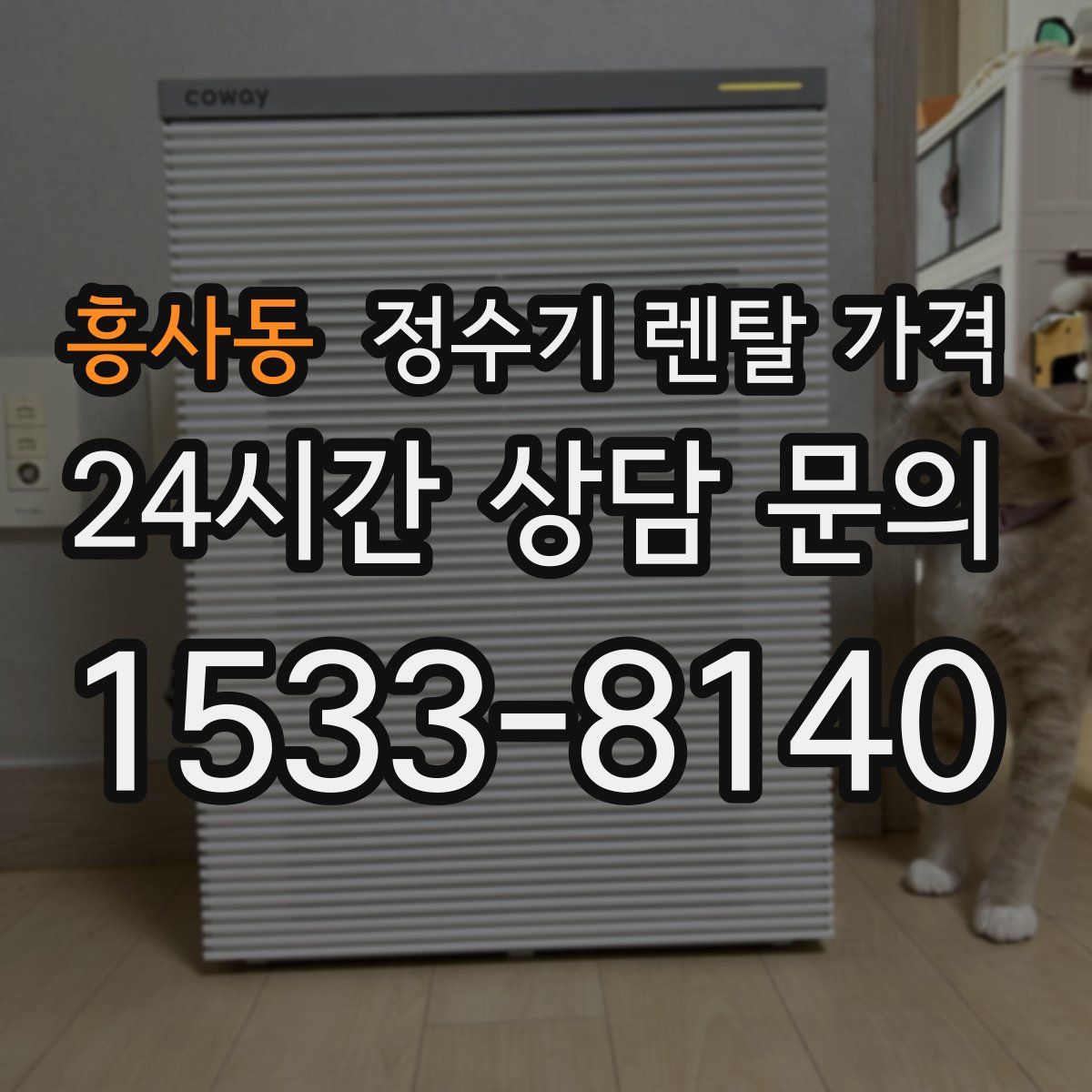 흥사동 정수기 렌탈 가격