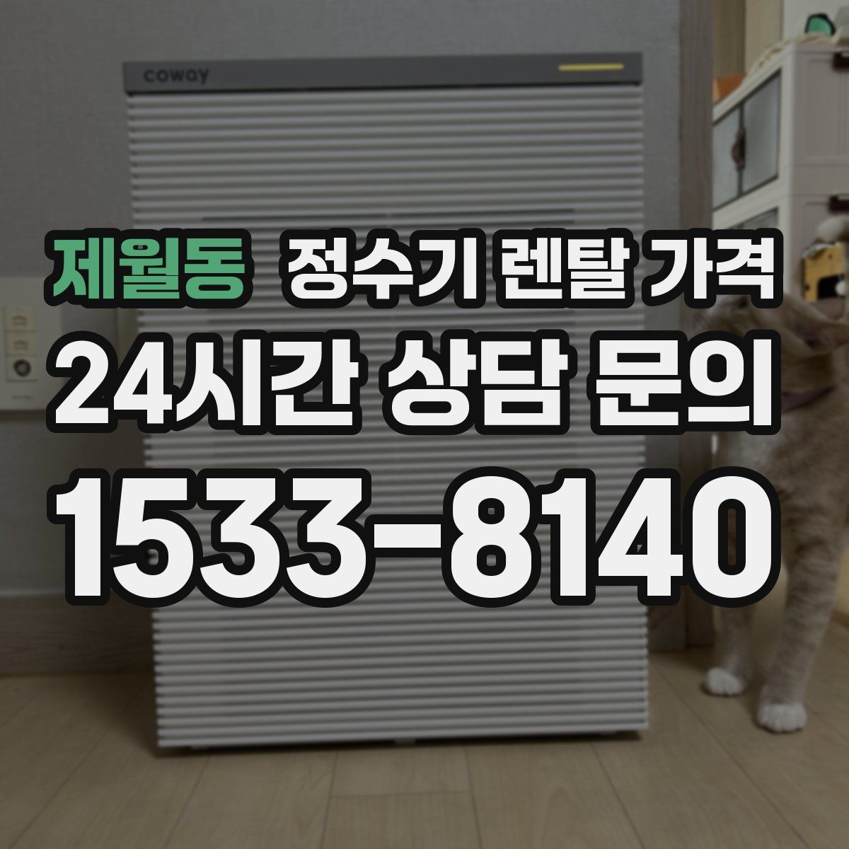 제월동 정수기 렌탈 가격