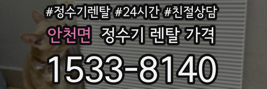 안천면 정수기 렌탈 가격