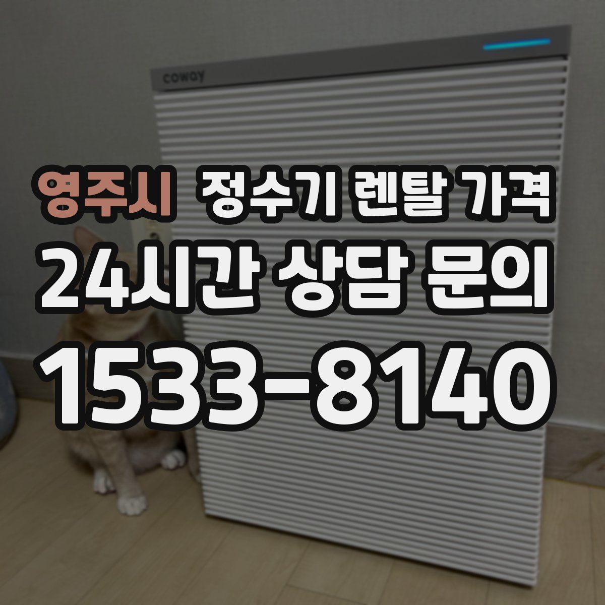 영주시 정수기 렌탈 가격