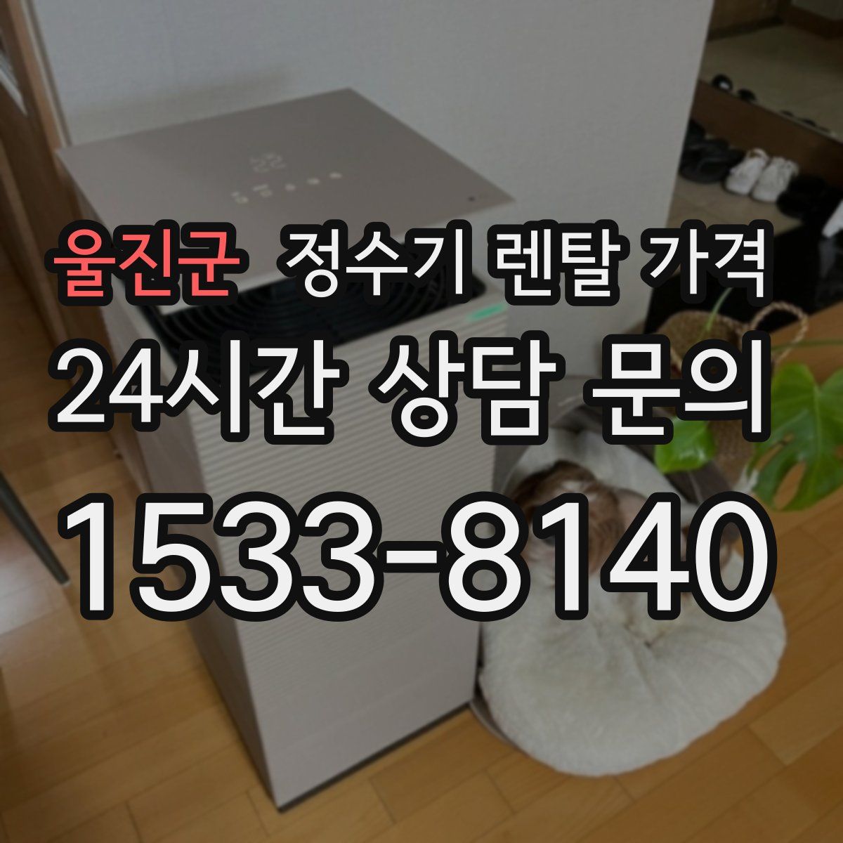 울진군 정수기 렌탈 가격