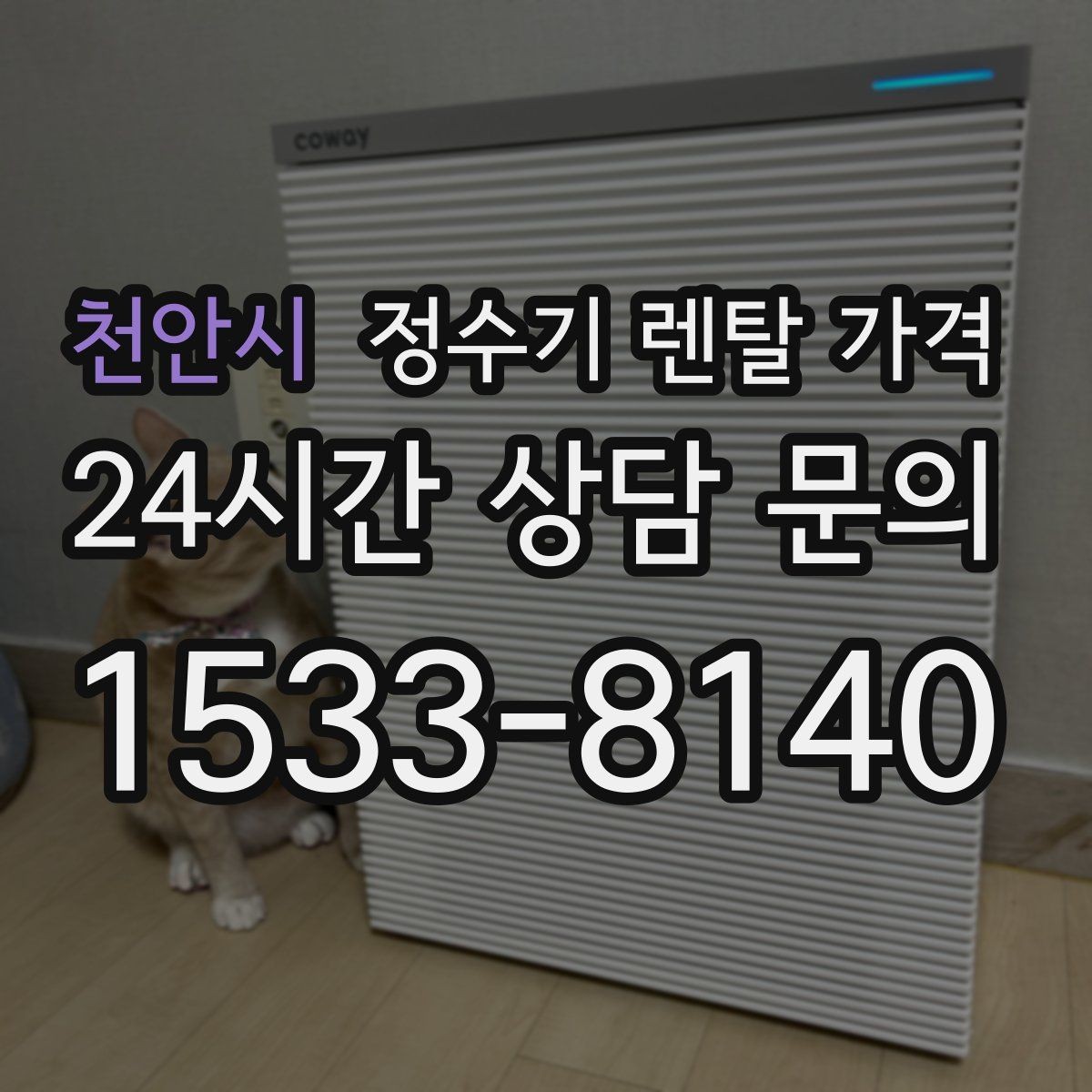 천안시 정수기 렌탈 가격 만족도 높은 선택을 위한 기준