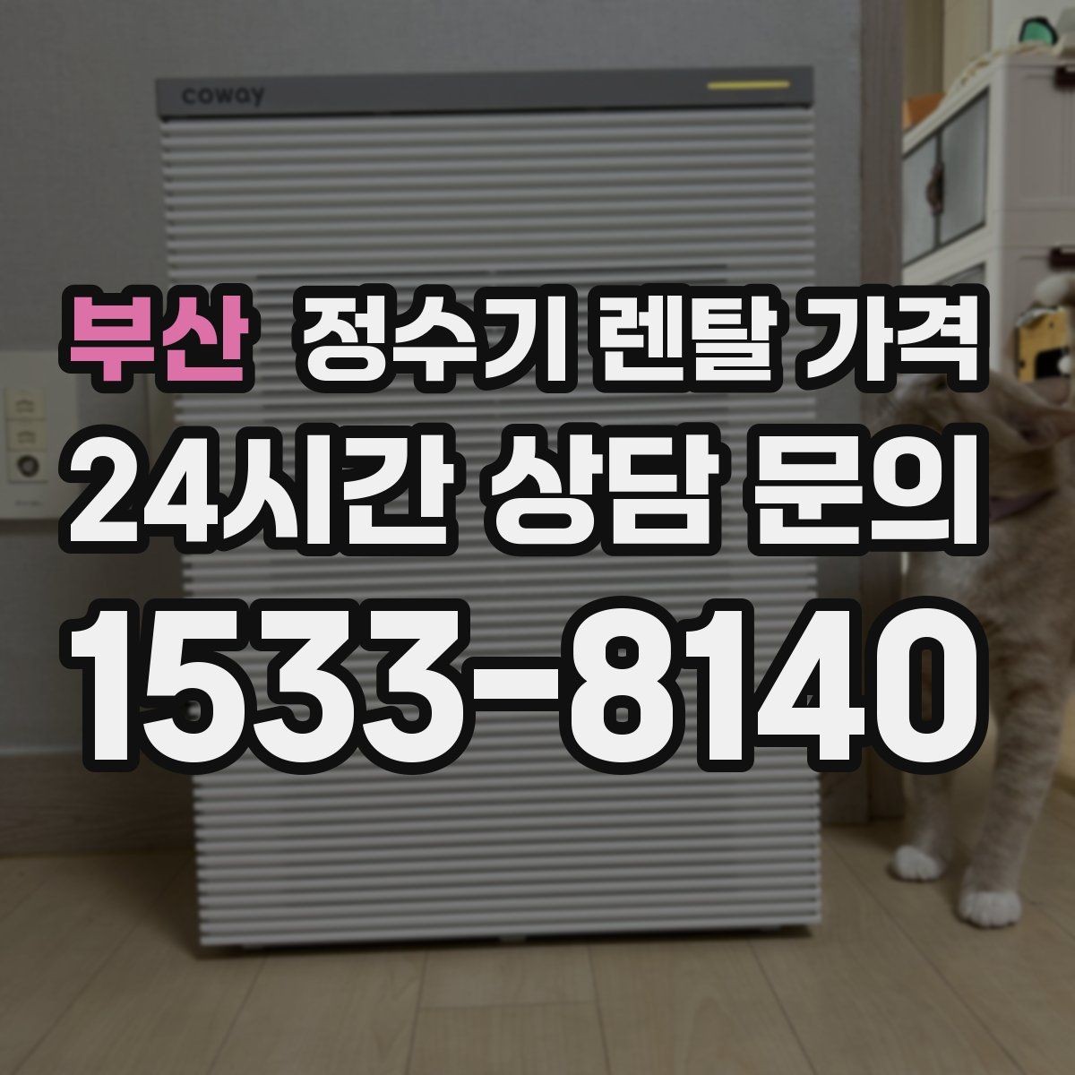 부산 정수기 렌탈 가격 장기적으로 보면 달라지는 선택 기준