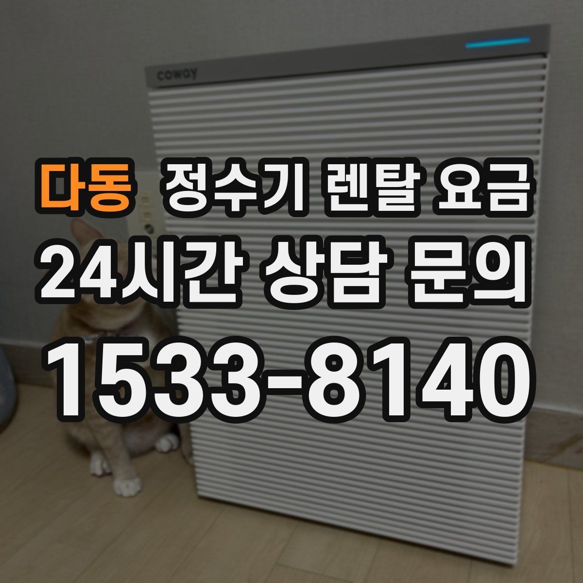 다동 정수기 렌탈 요금 프로모션 조건 제대로 보는 방법