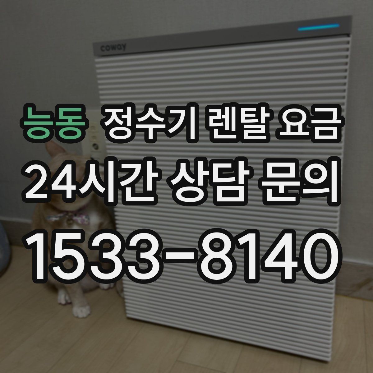 능동 정수기 렌탈 요금 얼음 기능이 들어가면 얼마나 달라질까