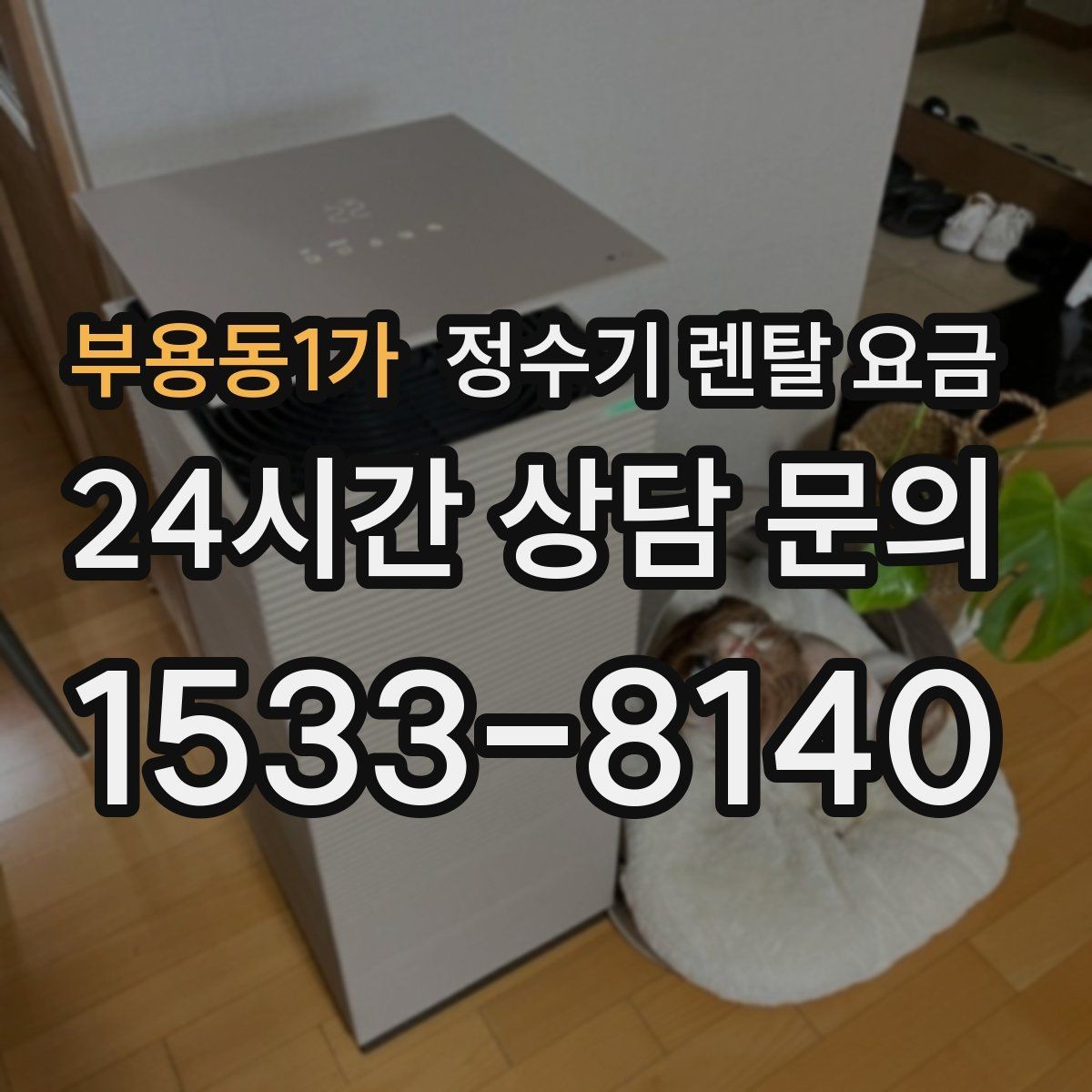 부용동1가 정수기 렌탈 요금 전화 상담만으로 결정해도 괜찮을까