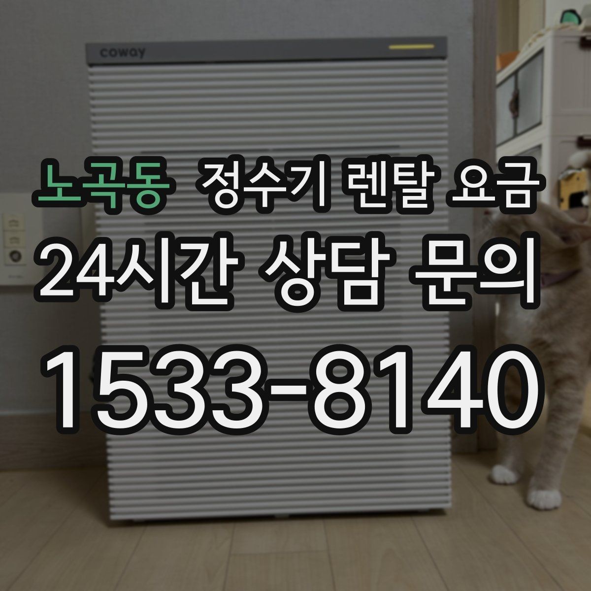 노곡동 정수기 렌탈 요금 합리적인 선택을 위한 가이드