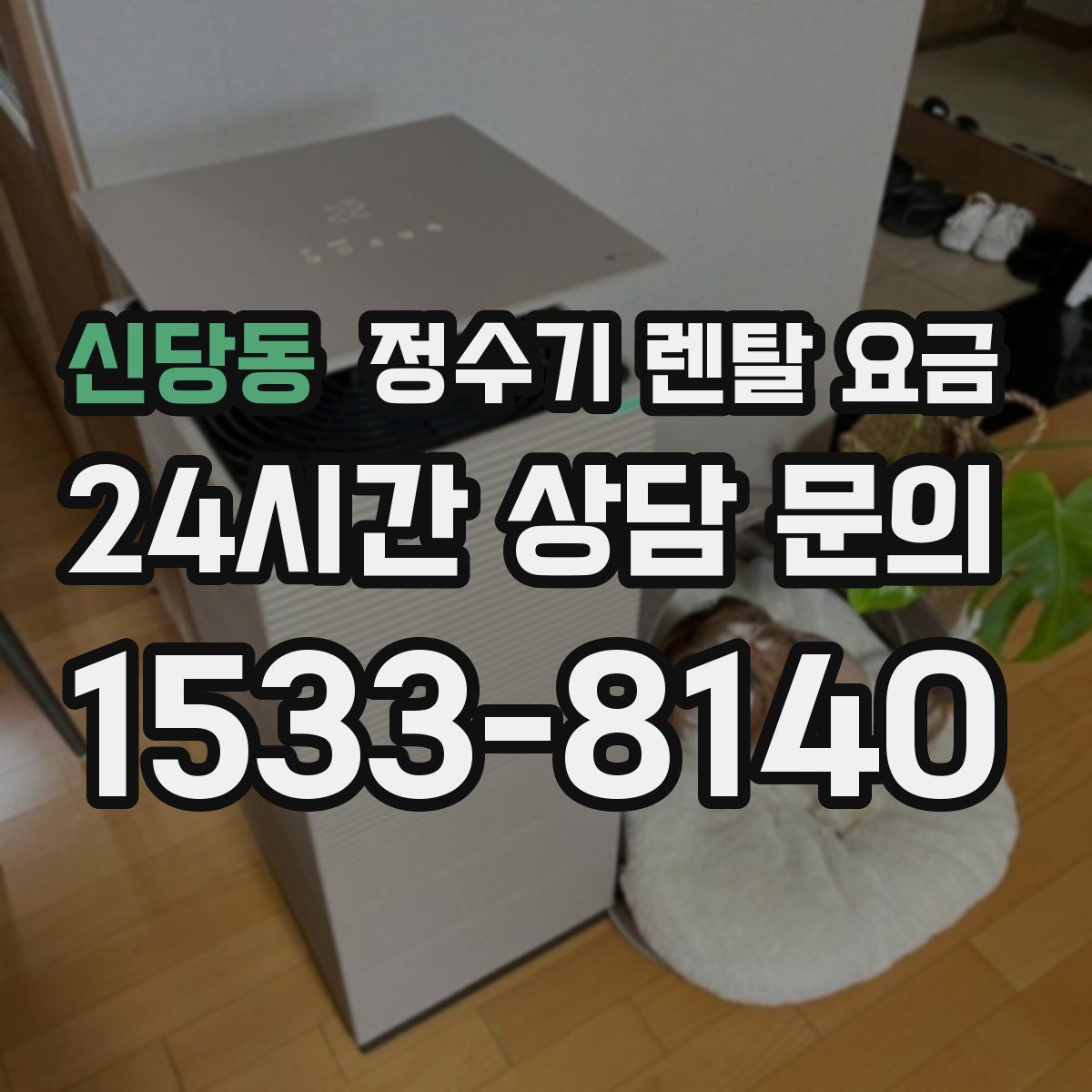 신당동 정수기 렌탈 요금