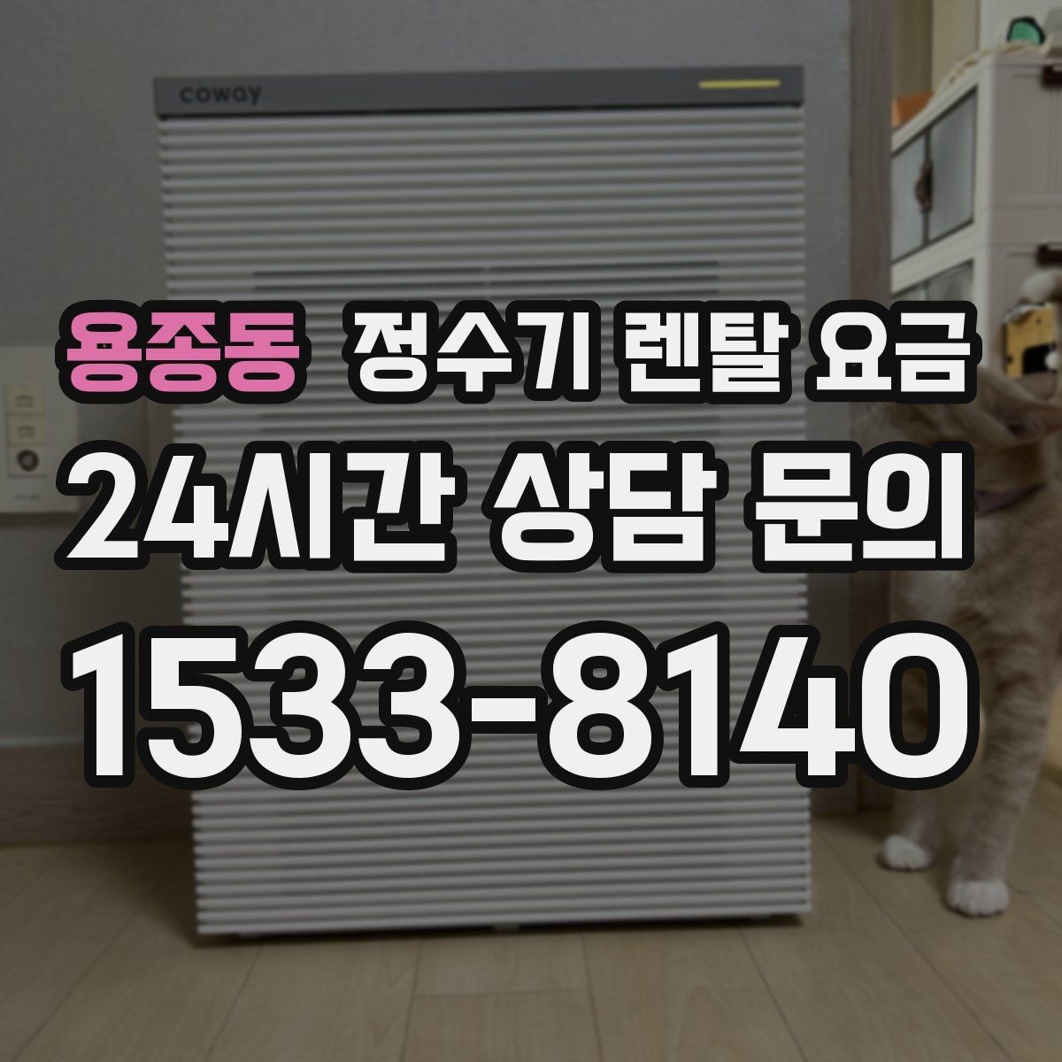 용종동 정수기 렌탈 요금 계약 조건에 따라 달라지는 이유