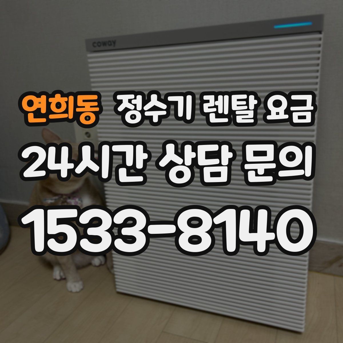 연희동 정수기 렌탈 요금 얼음 기능이 있는 모델의 특징