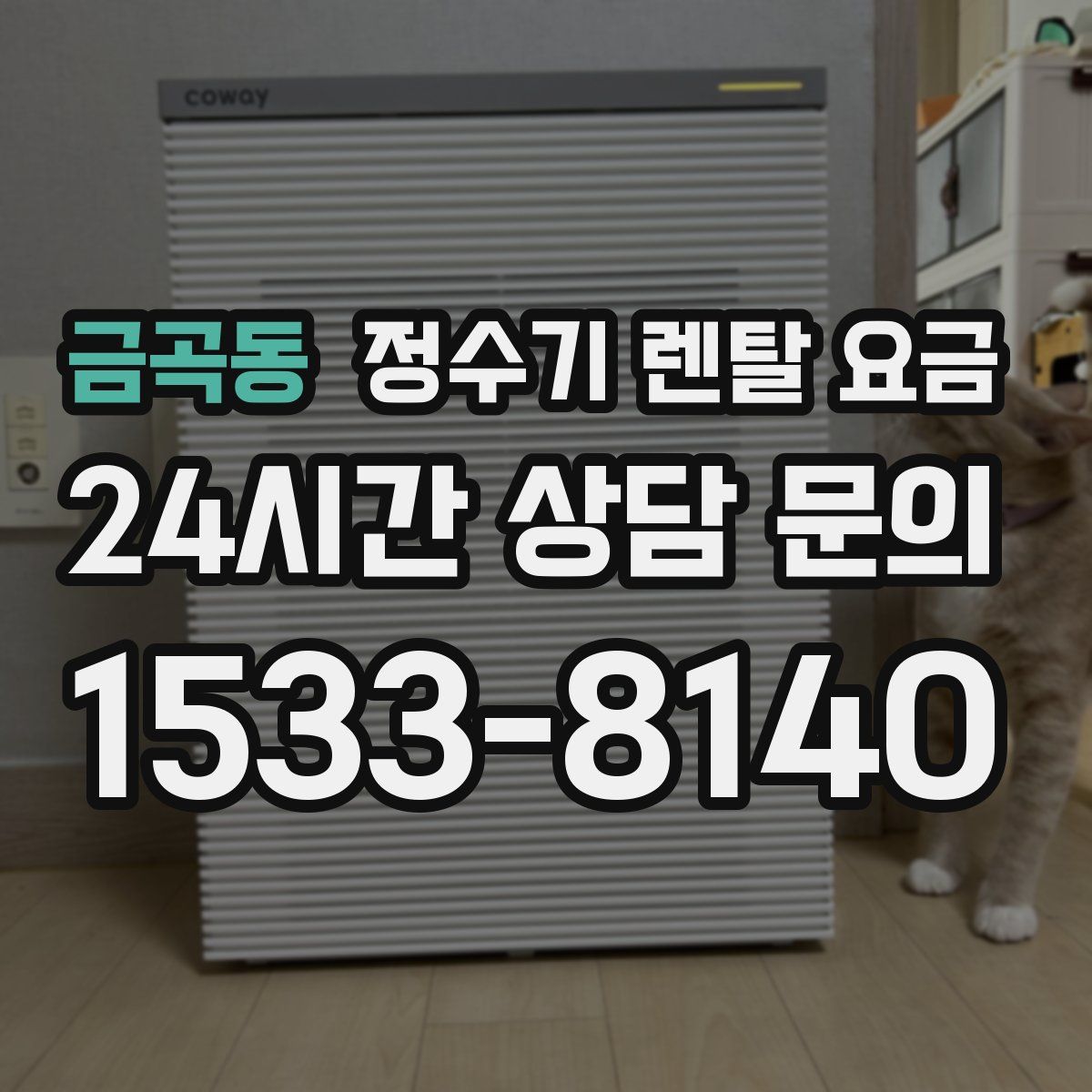 금곡동 정수기 렌탈 요금