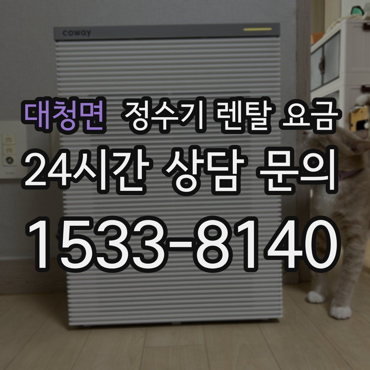 대청면 정수기 렌탈 요금 월 요금이 달라지는 이유부터 쉽게 정리