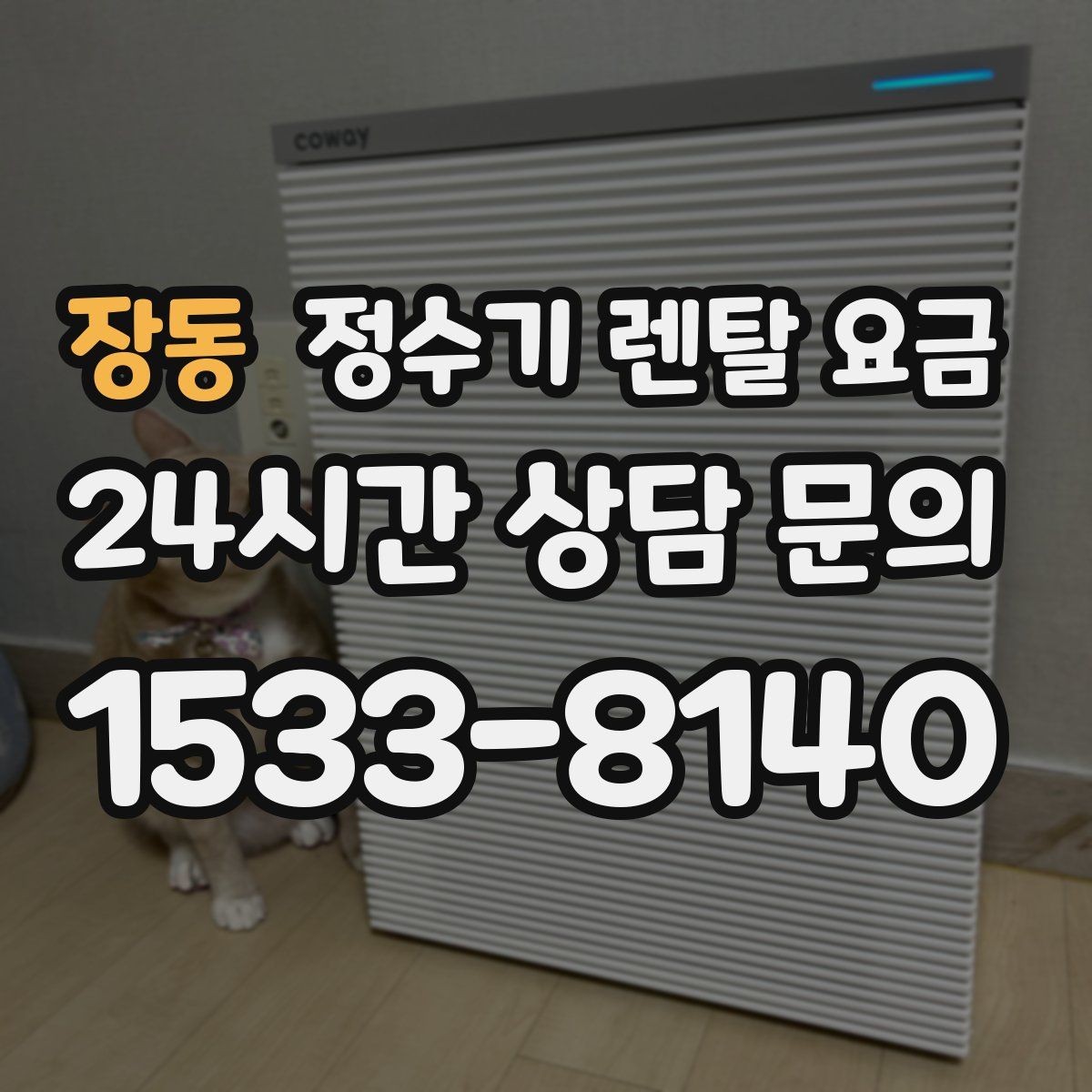 장동 정수기 렌탈 요금 탄산 기능까지 있으면 어떻게 달라질까
