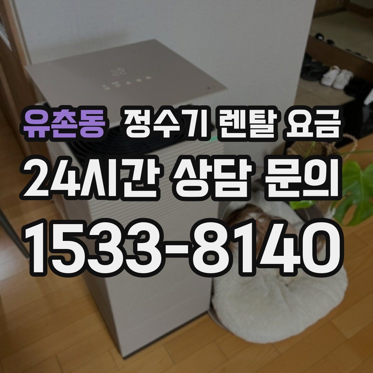 유촌동 정수기 렌탈 요금 신혼부부가 따져보면 좋은 포인트
